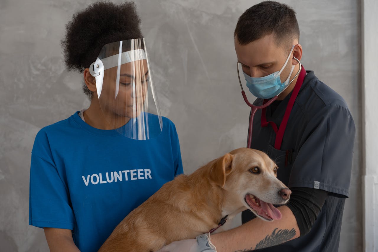 gallery-04 A veterinarian and a volunteer collaborate to check a dog in a clinic.